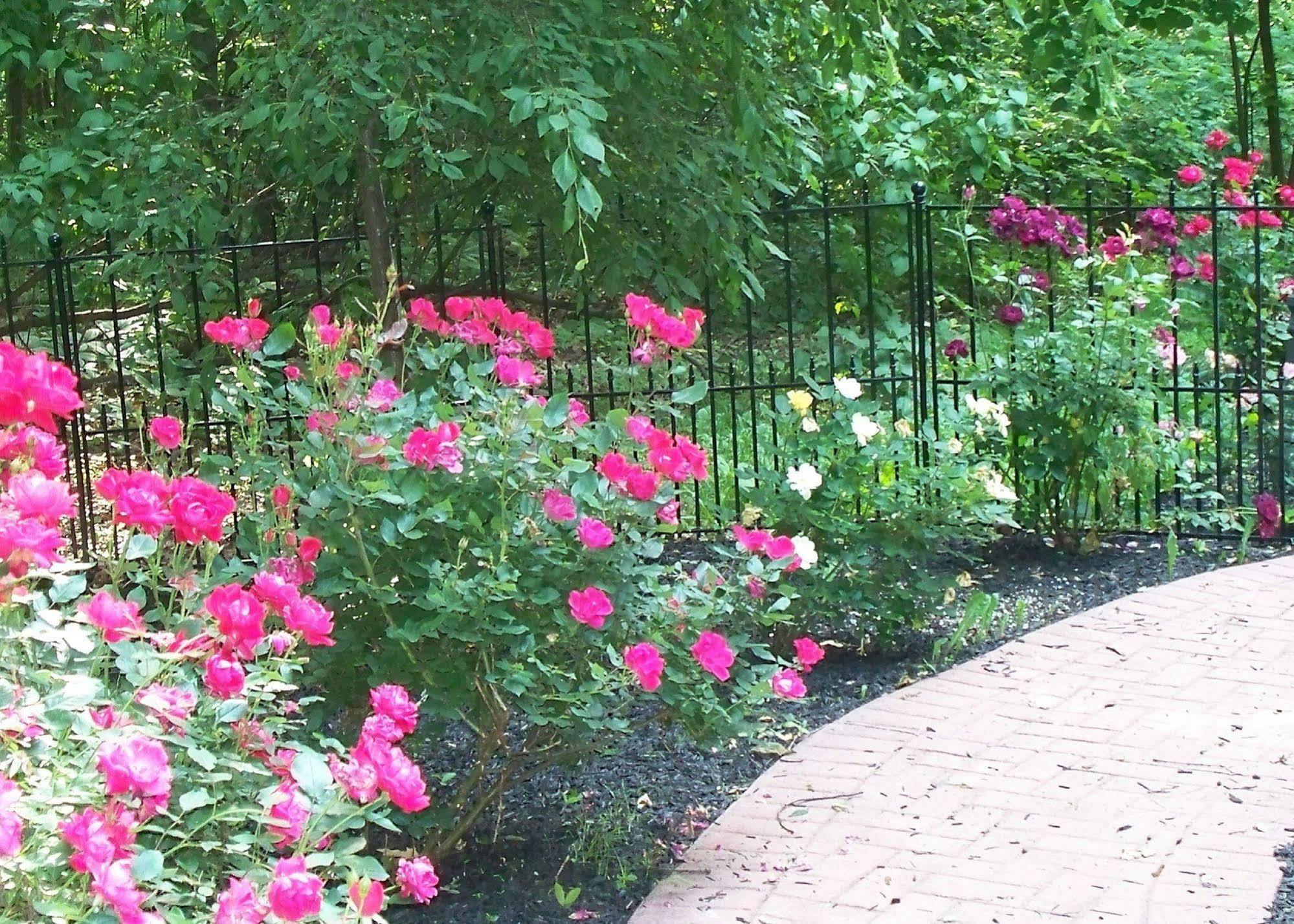 Bear House Bed And Breakfast Dover 외부 사진